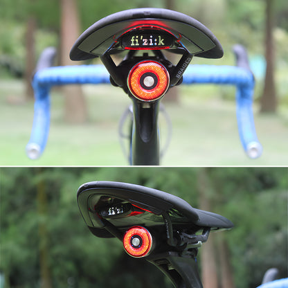 Smart USB Rechargeable Bike Tail Light with Brake Sensor