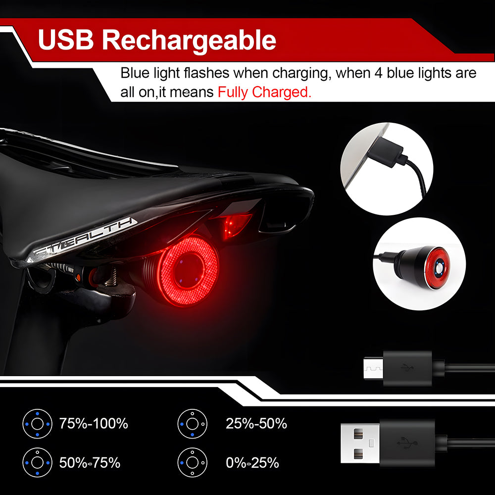 Smart USB Rechargeable Bike Tail Light with Brake Sensor