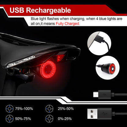 Smart USB Rechargeable Bike Tail Light with Brake Sensor