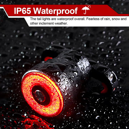 Smart USB Rechargeable Bike Tail Light with Brake Sensor