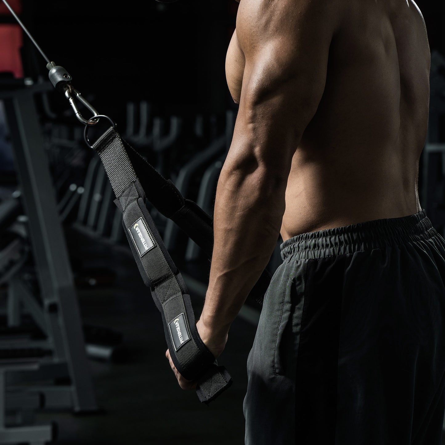 Tricep Rope Pushdown Cable Attachment with Carabiner